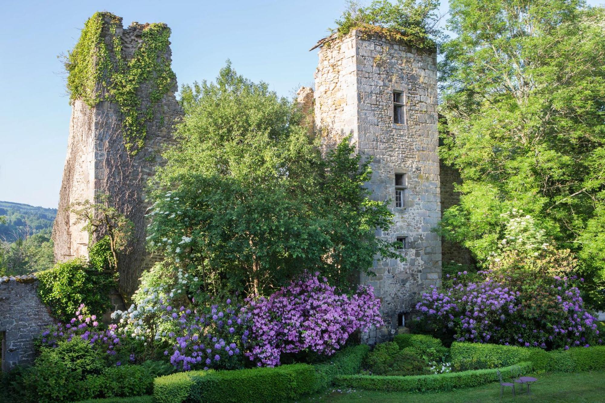 Abbaye Du Palais Bed & Breakfast Thauron Cameră foto